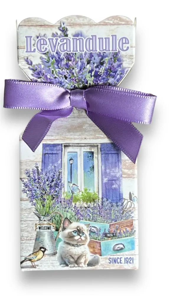 Mýdlo 90 g krabička MEDVÍDEK MÝVAL 