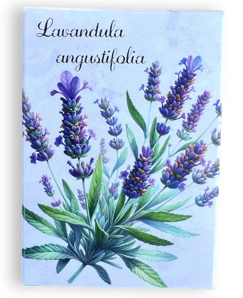 Mýdlo 40 g v krabičce MEDVÍDEK pro ŠTĚSTÍ