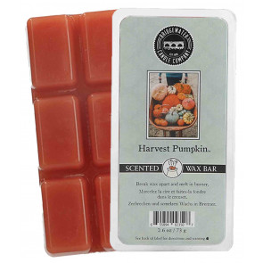 BW aroma olej  HARVEST PUMPKIN 