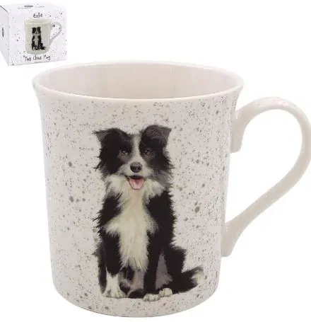 LP95599 Hrnek Labrador