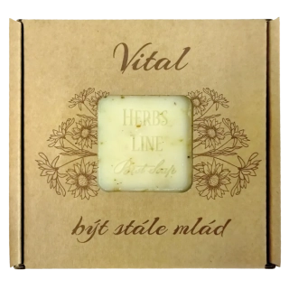 1436112 Luxusní mýdlo 100 g VITAL