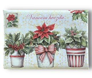 Mýdlo 200 g Vánoční hvězda