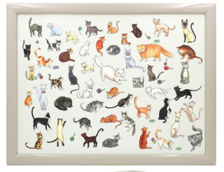 LP96405 KITTY servírovací LAPTREY