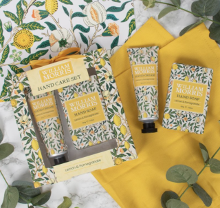 LP75234 Sada FRUITS Citron a granátové jablko Krém na ruce a tuhé mýdlo 