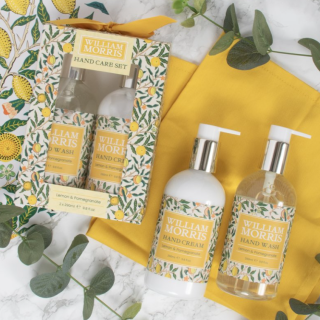 LP75236 Sada FRUITS Citron a granátové jablko tekuté mýdlo a krém na ruce 290 ml